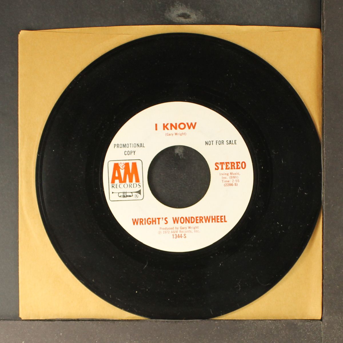 i know / mono by WRIGHT'S WONDERWHEEL