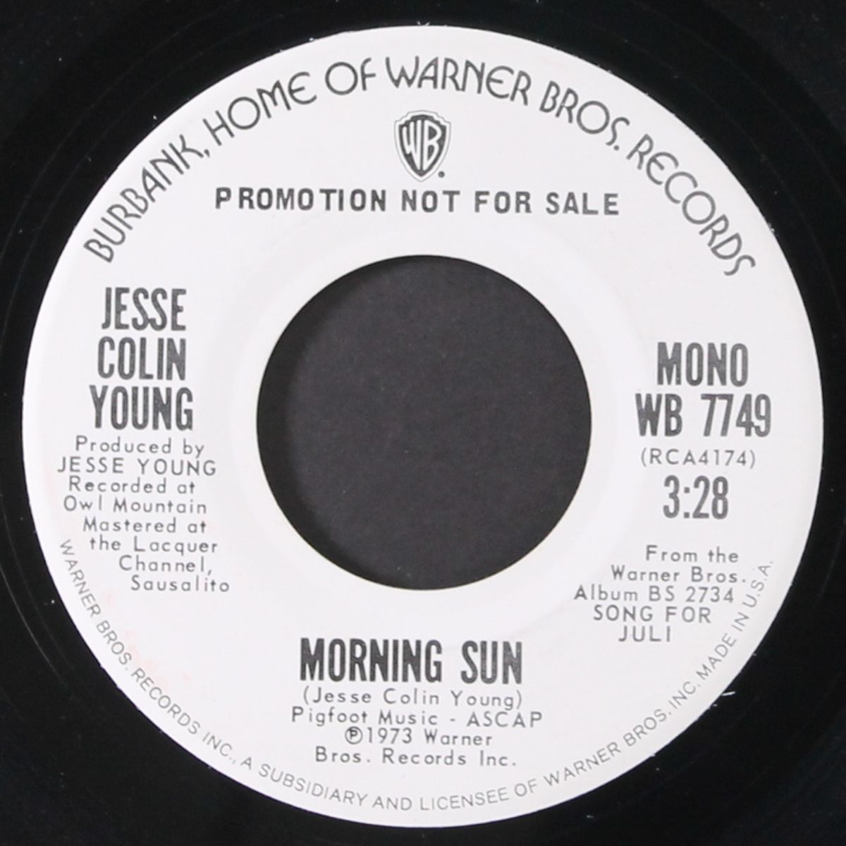 morning sun by JESSE COLIN YOUNG