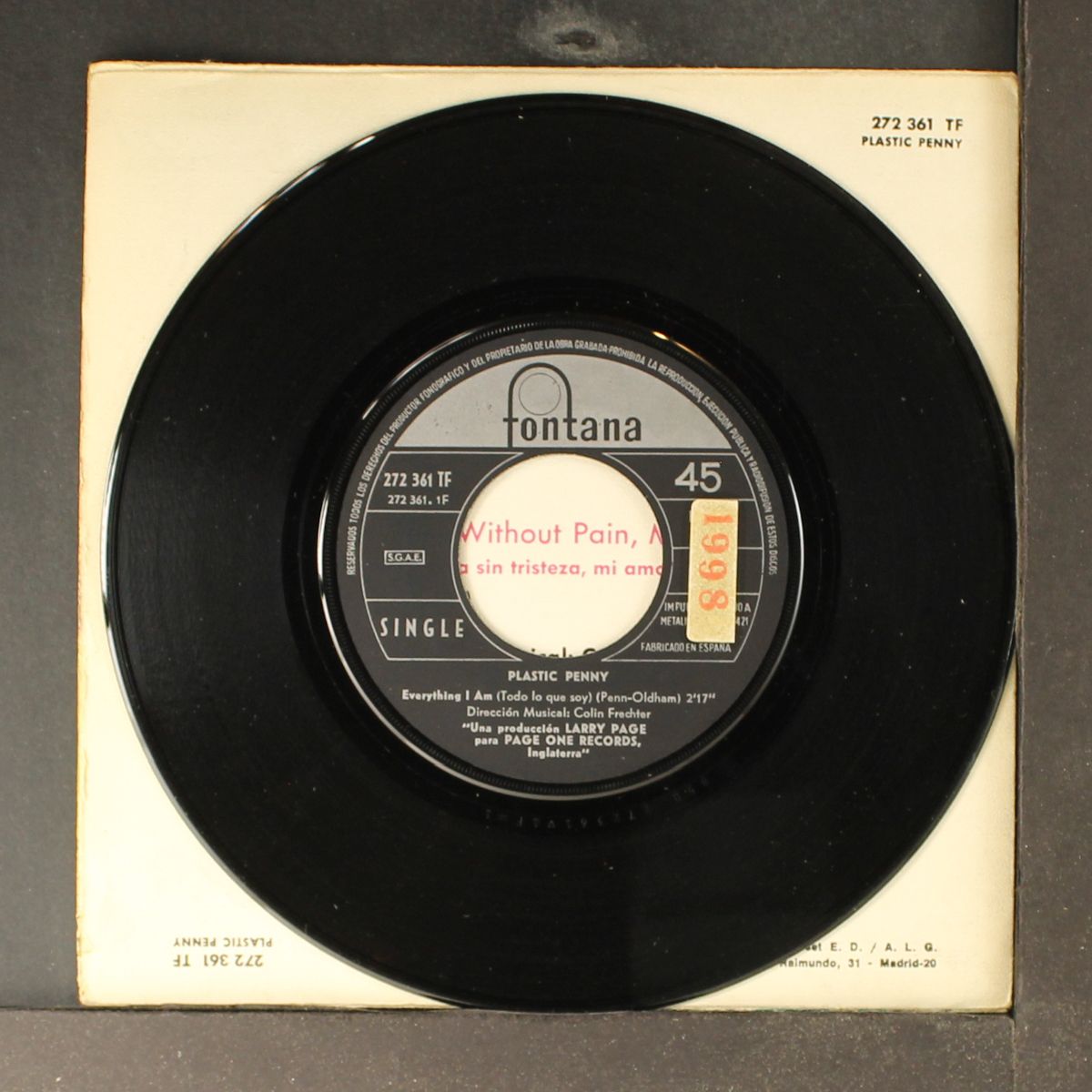everything i am / no pleasure with pain, my love by PLASTIC PENNY