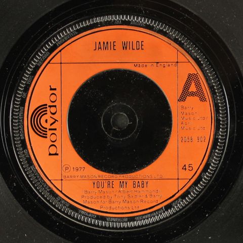 JAMIE WILDE