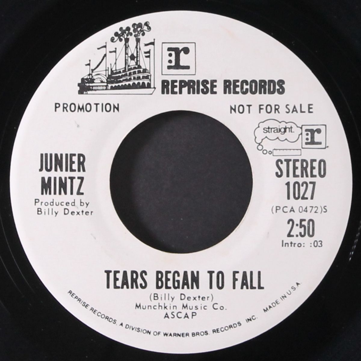 tears began to fall / mono by JUNIER MINTZ