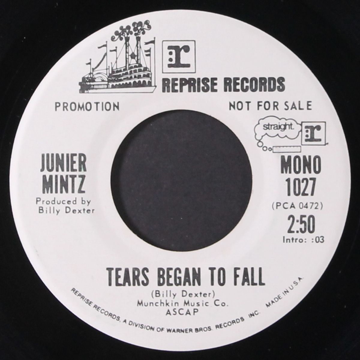 tears began to fall / mono by JUNIER MINTZ