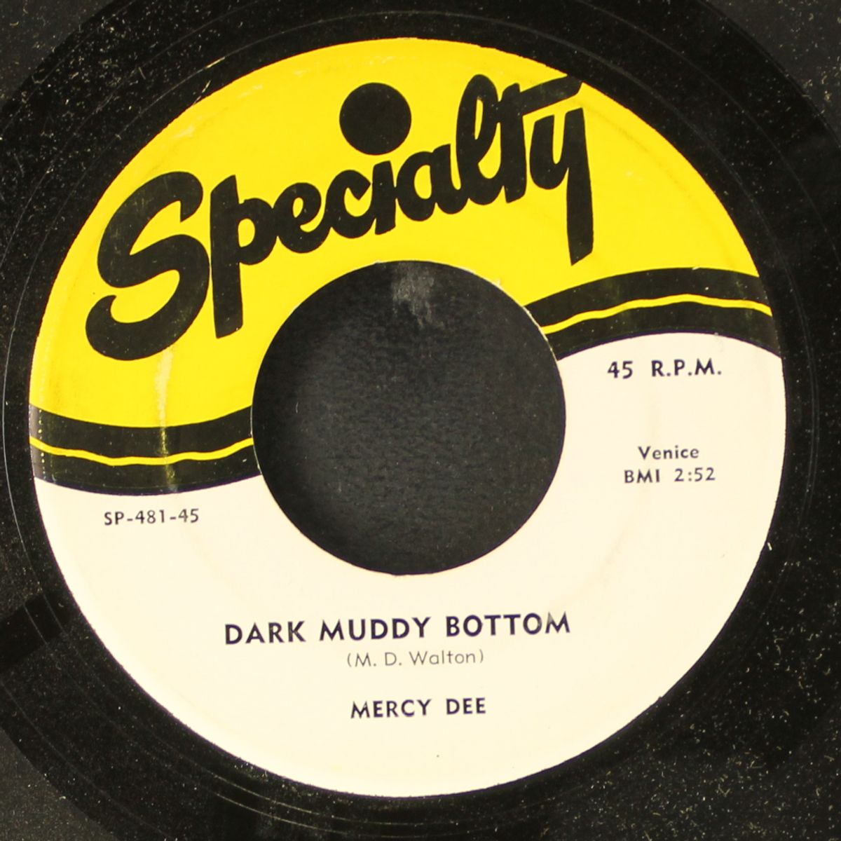 dark muddy bottom by MERCY DEE