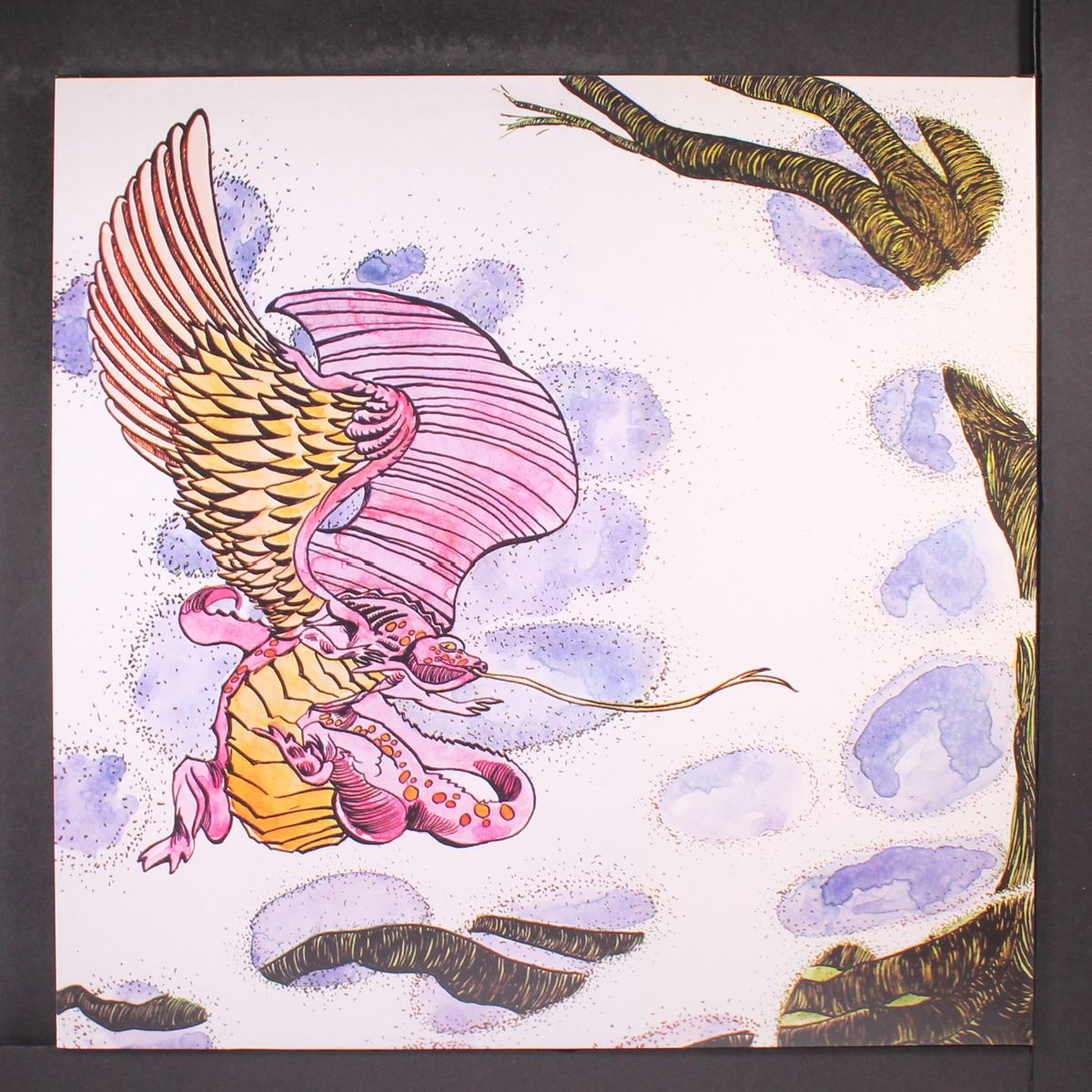 dragon by DRAGON