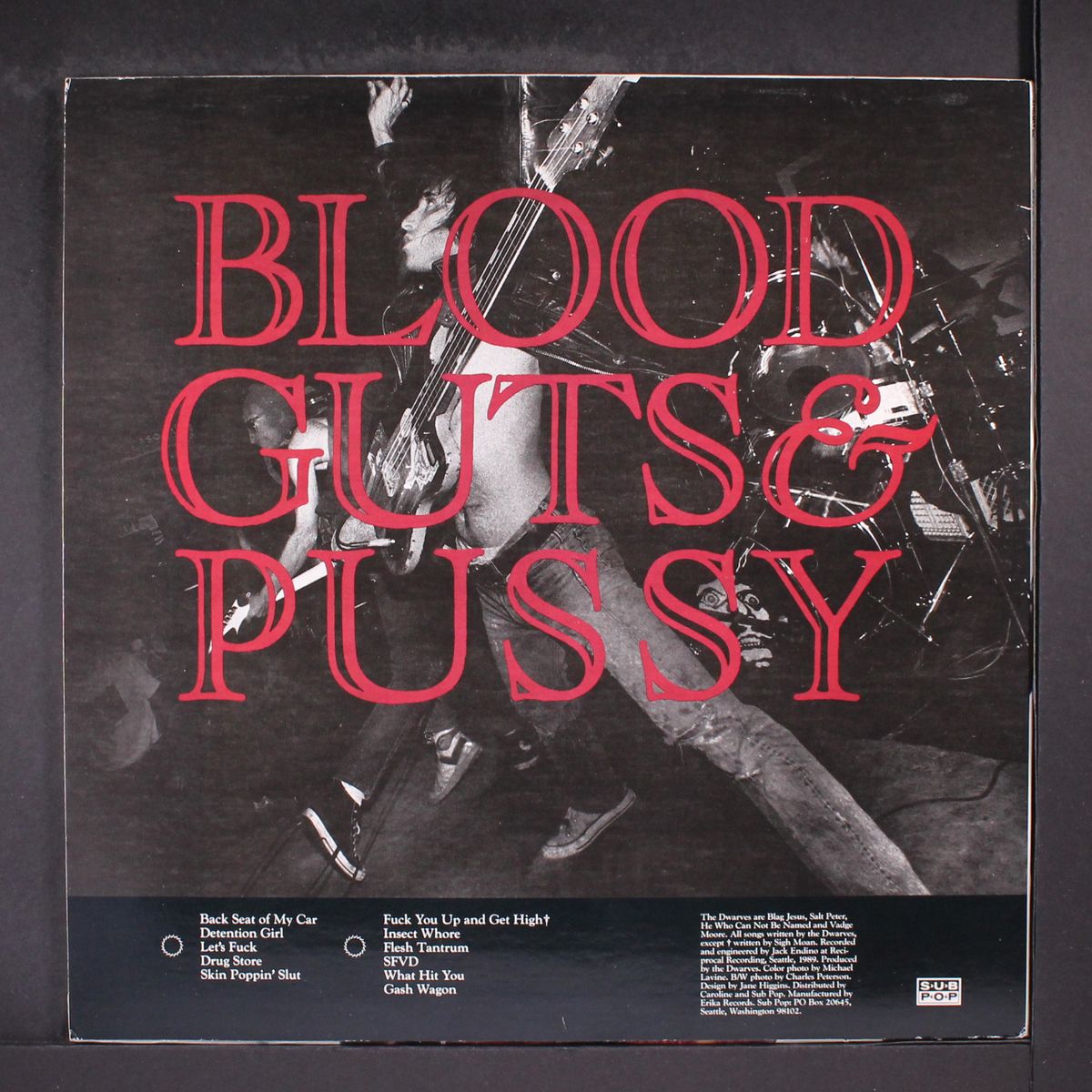 blood guts & pussy by DWARVES