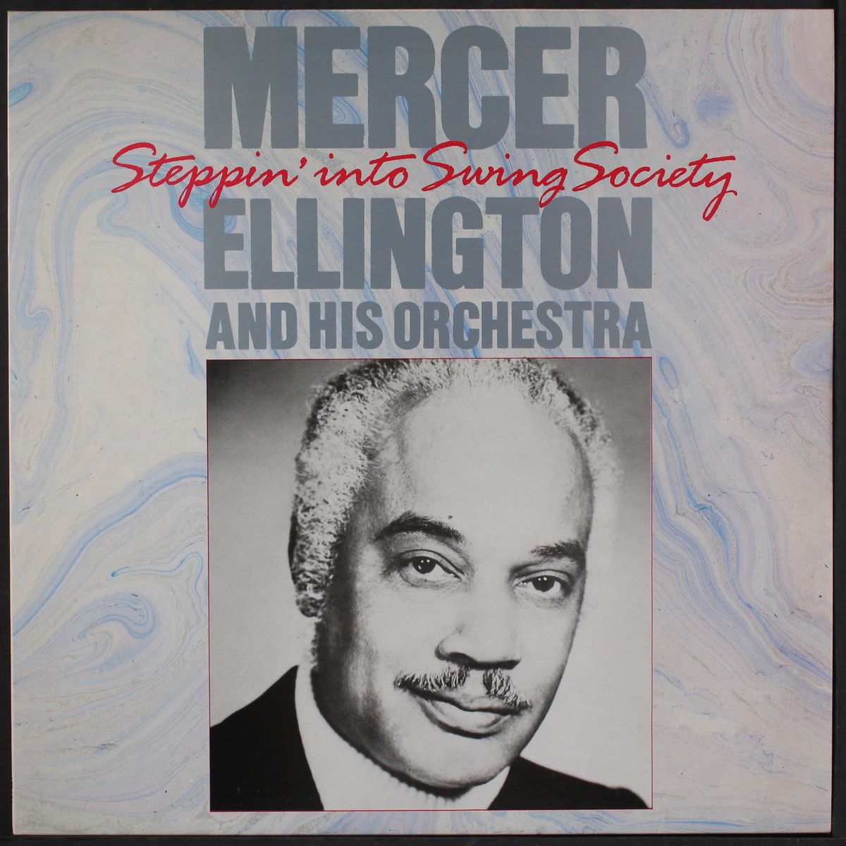 steppin' into swing society by MERCER ELLINGTON