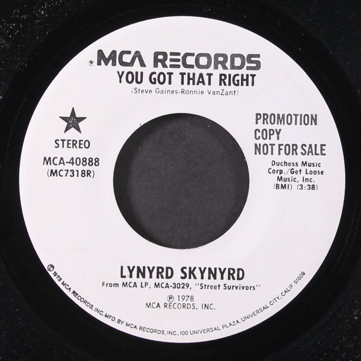 you got that right / same by LYNYRD SKYNYRD