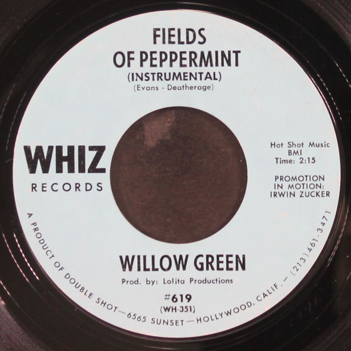 fields of peppermint / instro by WILLOW GREEN