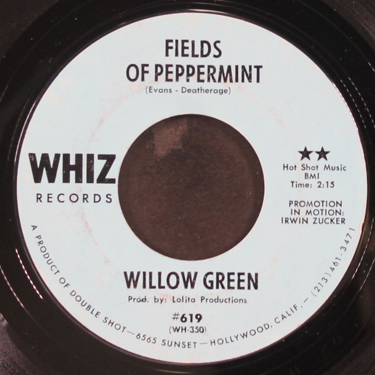 fields of peppermint / instro by WILLOW GREEN