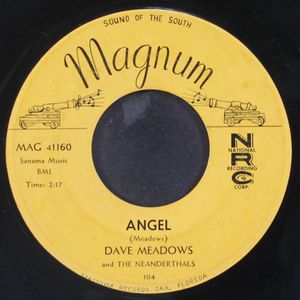 DAVE MEADOWS