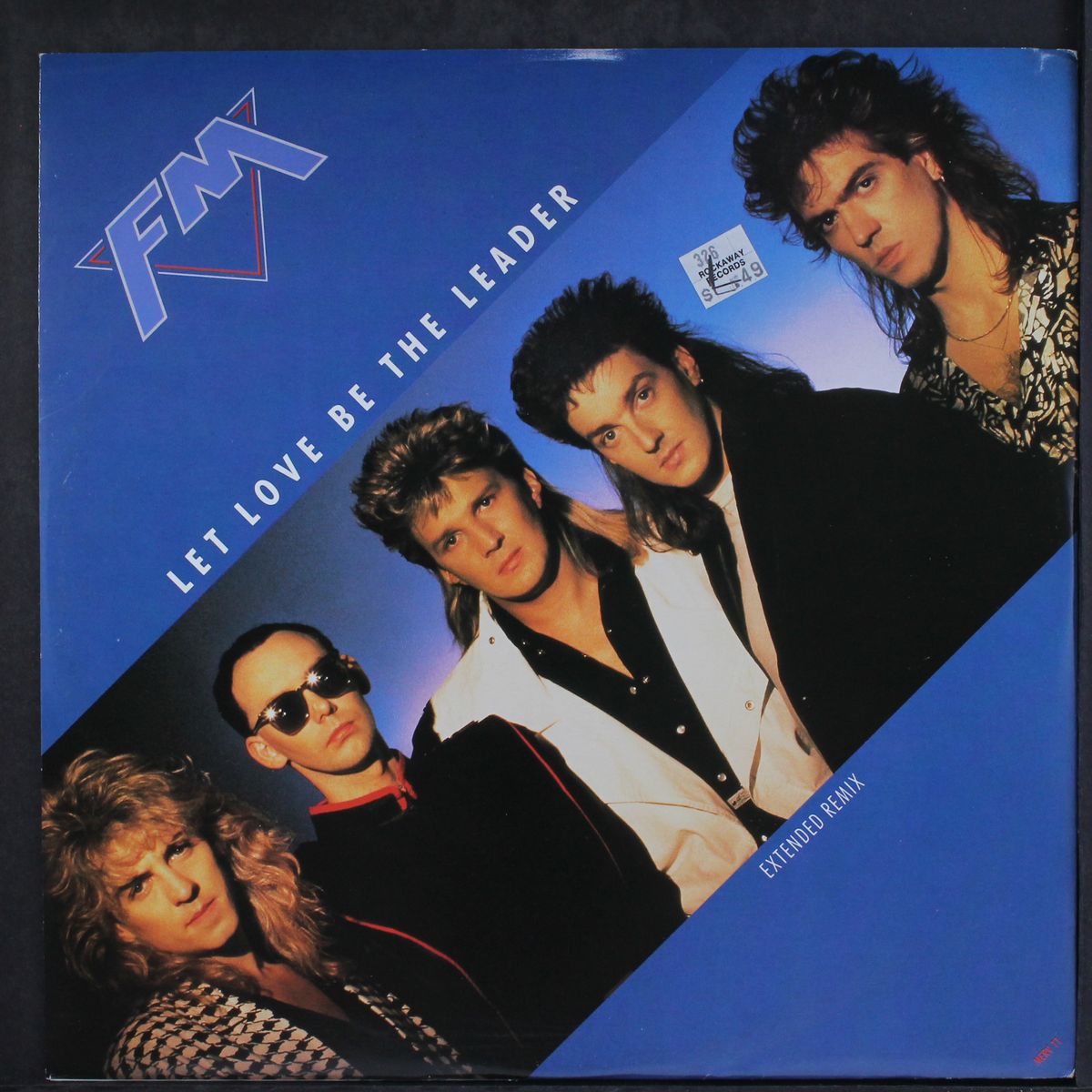 let love be the leader (extended remix) by FM