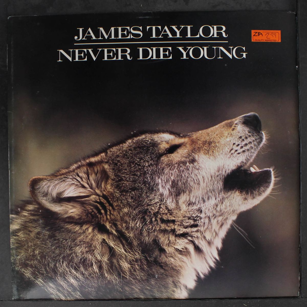 never die young by JAMES TAYLOR
