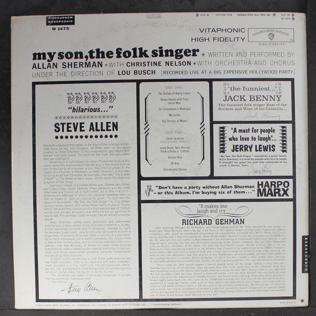 my son, the folk singer by ALLAN SHERMAN