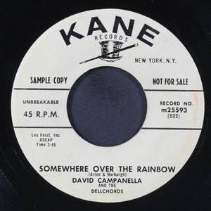 DAVID CAMPANELLA & DELLCHORDS