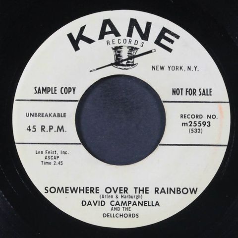 DAVID CAMPANELLA & DELLCHORDS