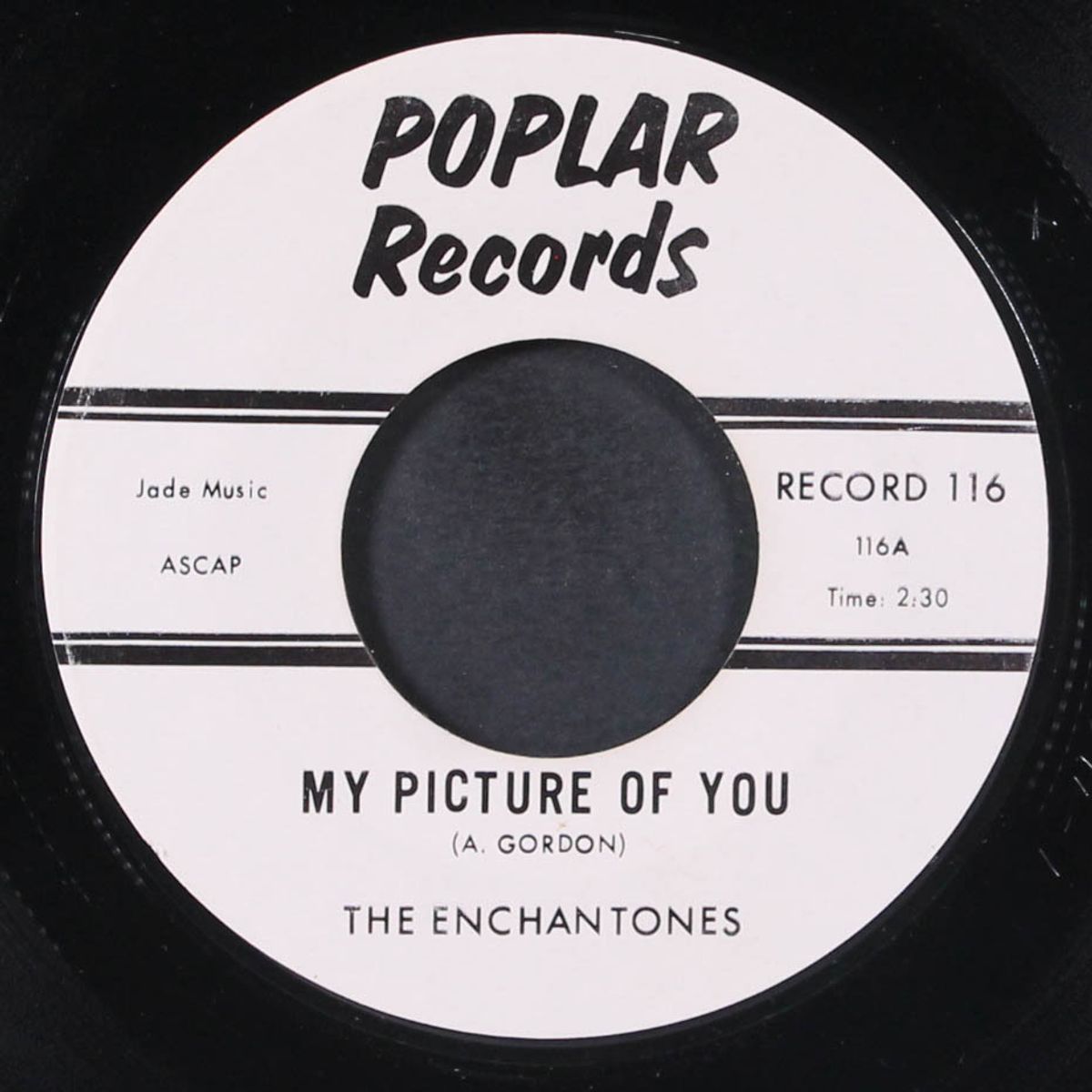 my picture of you / we fell in love by ENCHANTONES