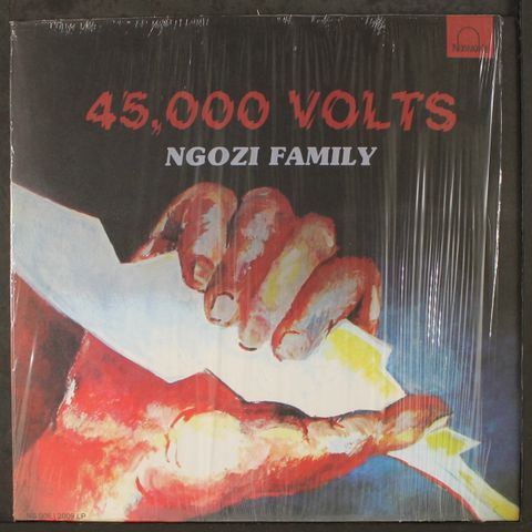 NGOZI FAMILY