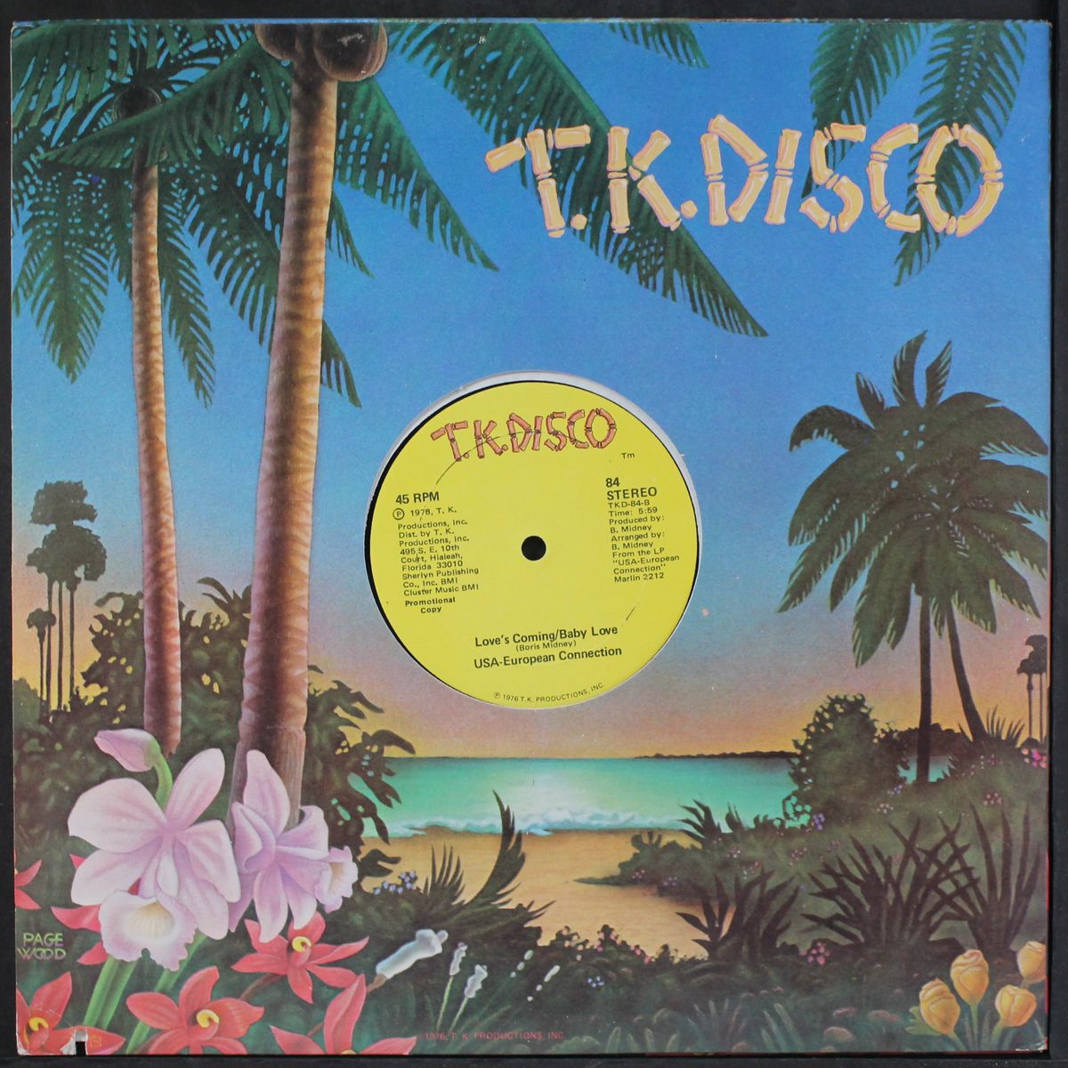 come into my heart/good loving by USA-EUROPEAN CONNECTION