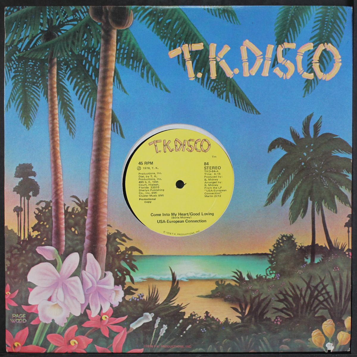 come into my heart/good loving by USA-EUROPEAN CONNECTION