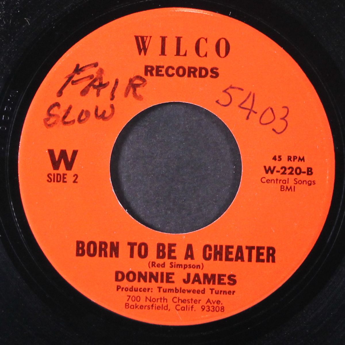 loose you again / born to be a cheater by DONNIE JAMES