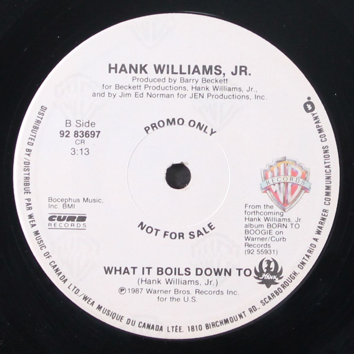 born to boogie by HANK WILLIAMS JR.