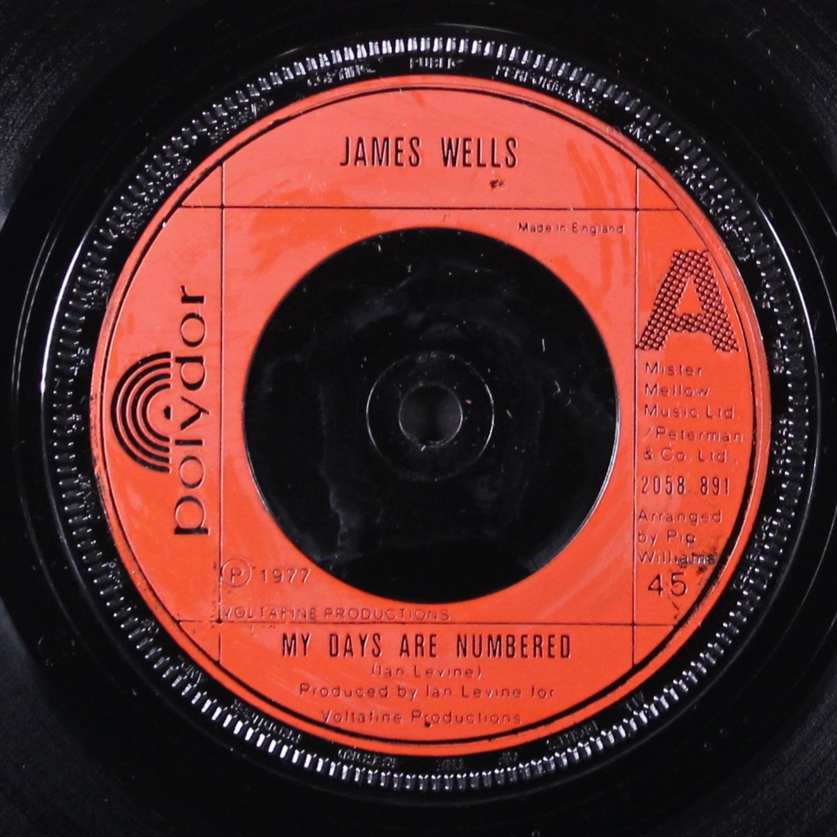my days are numbered by JAMES WELLS