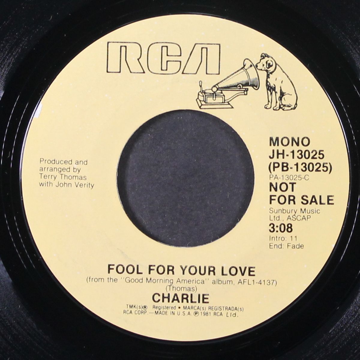 fool for your love / mono by CHARLIE