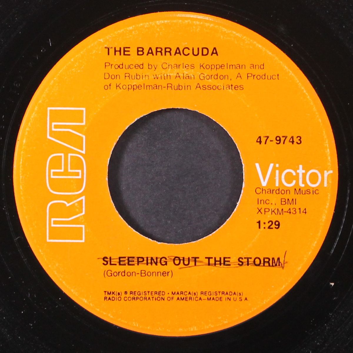 julie / sleeping out the storm by BARRACUDA