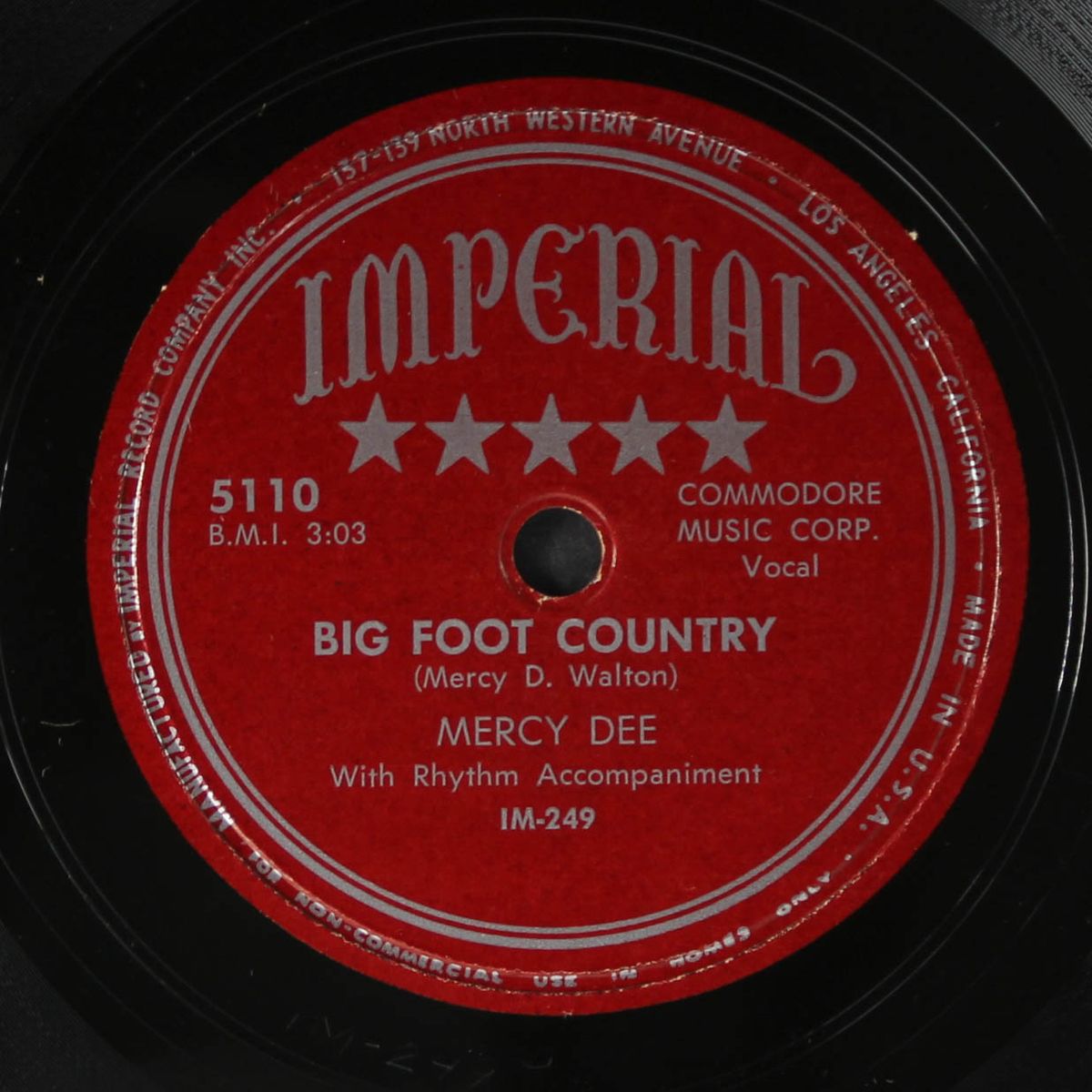 bird brain baby / big foot country by MERCY DEE