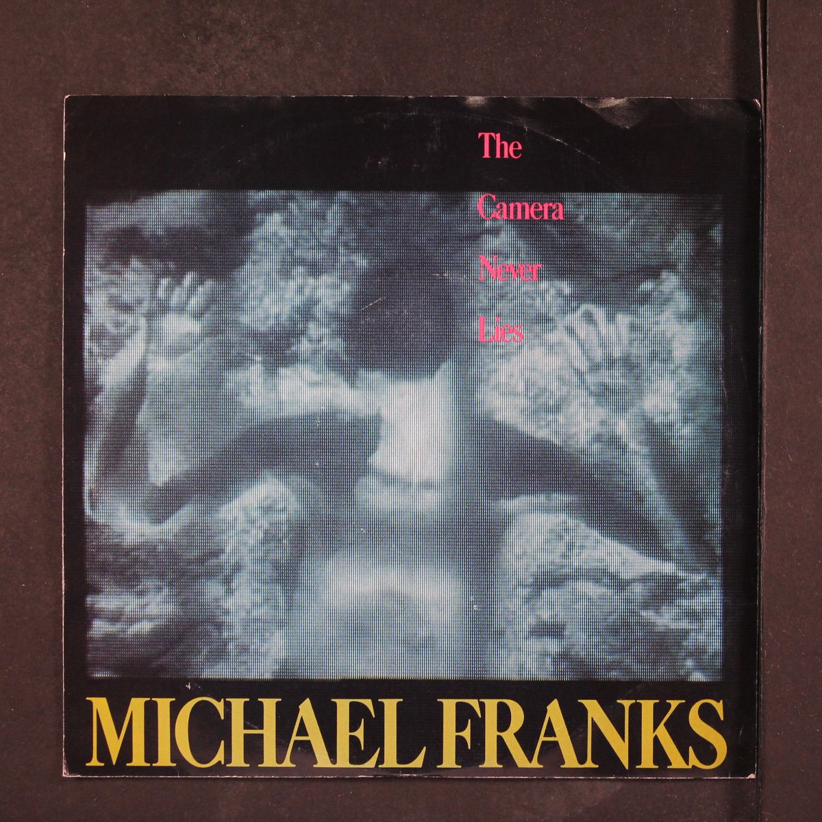 the camera never lies / same by MICHAEL FRANKS