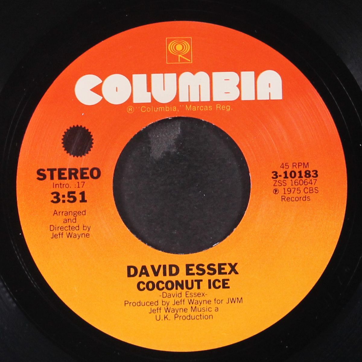 rolling stone / coconut ice by DAVID ESSEX