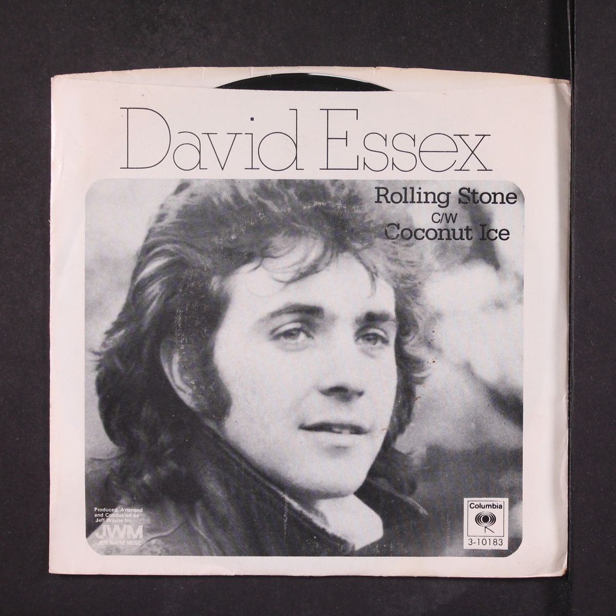 rolling stone / coconut ice by DAVID ESSEX