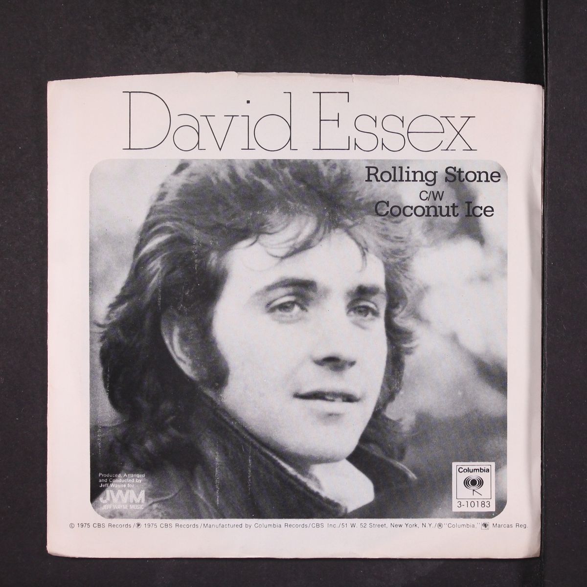 rolling stone / coconut ice by DAVID ESSEX