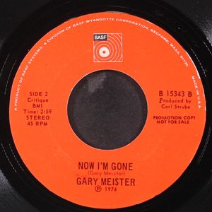 GARY MEISTER