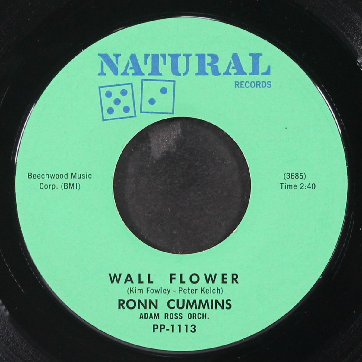 wall flower / split personality by RONN CUMMINS