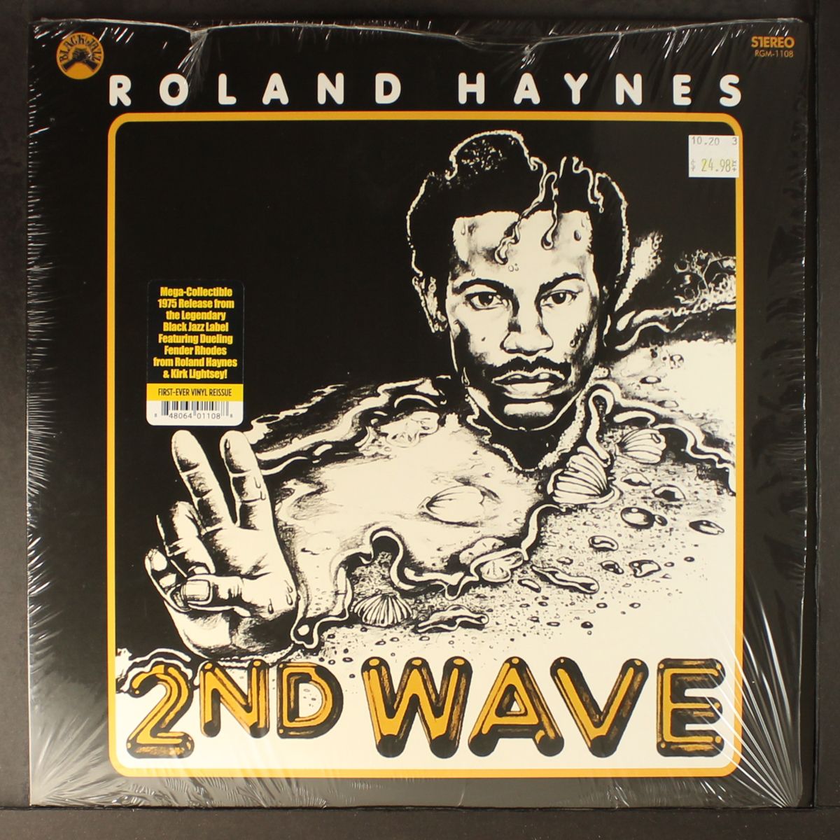 2nd wave by ROLAND HAYNES