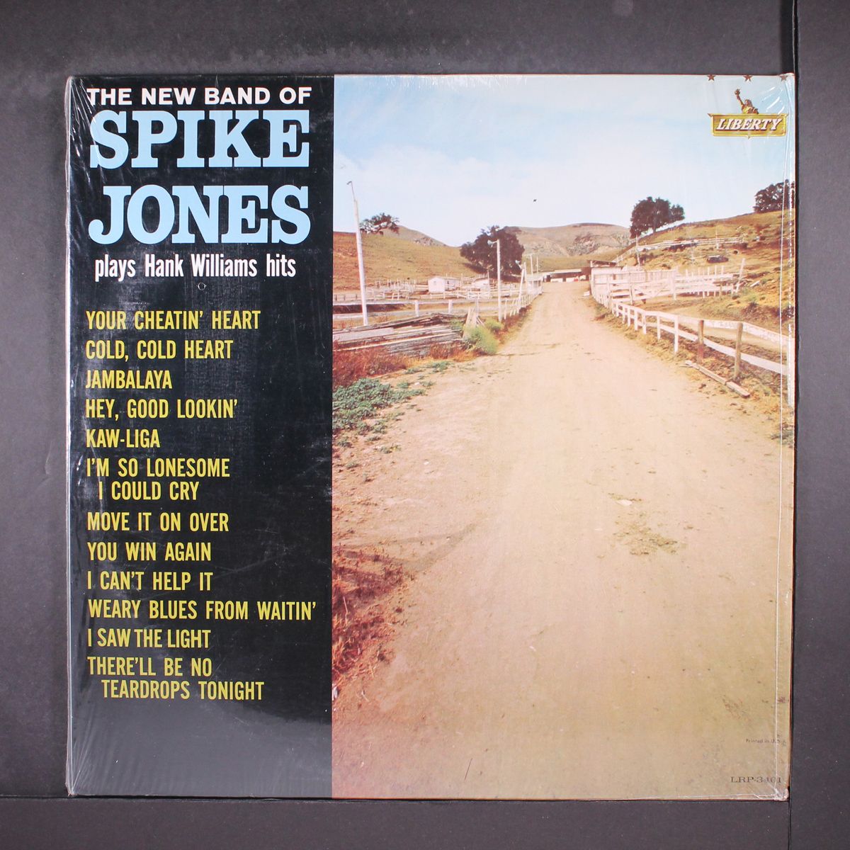 new band plays hank williams hits by SPIKE JONES