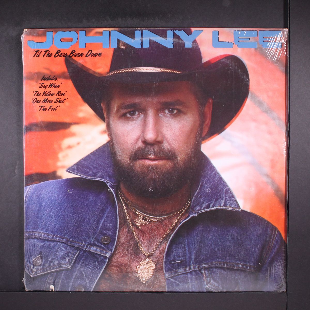 til the bars burn down by JOHNNY LEE