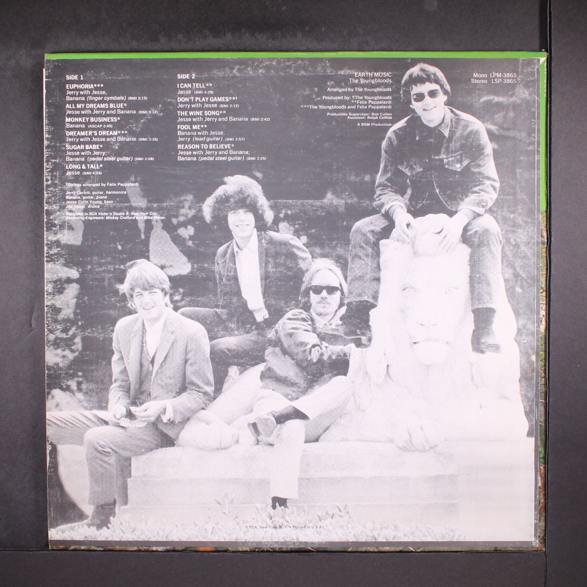earth music by YOUNGBLOODS