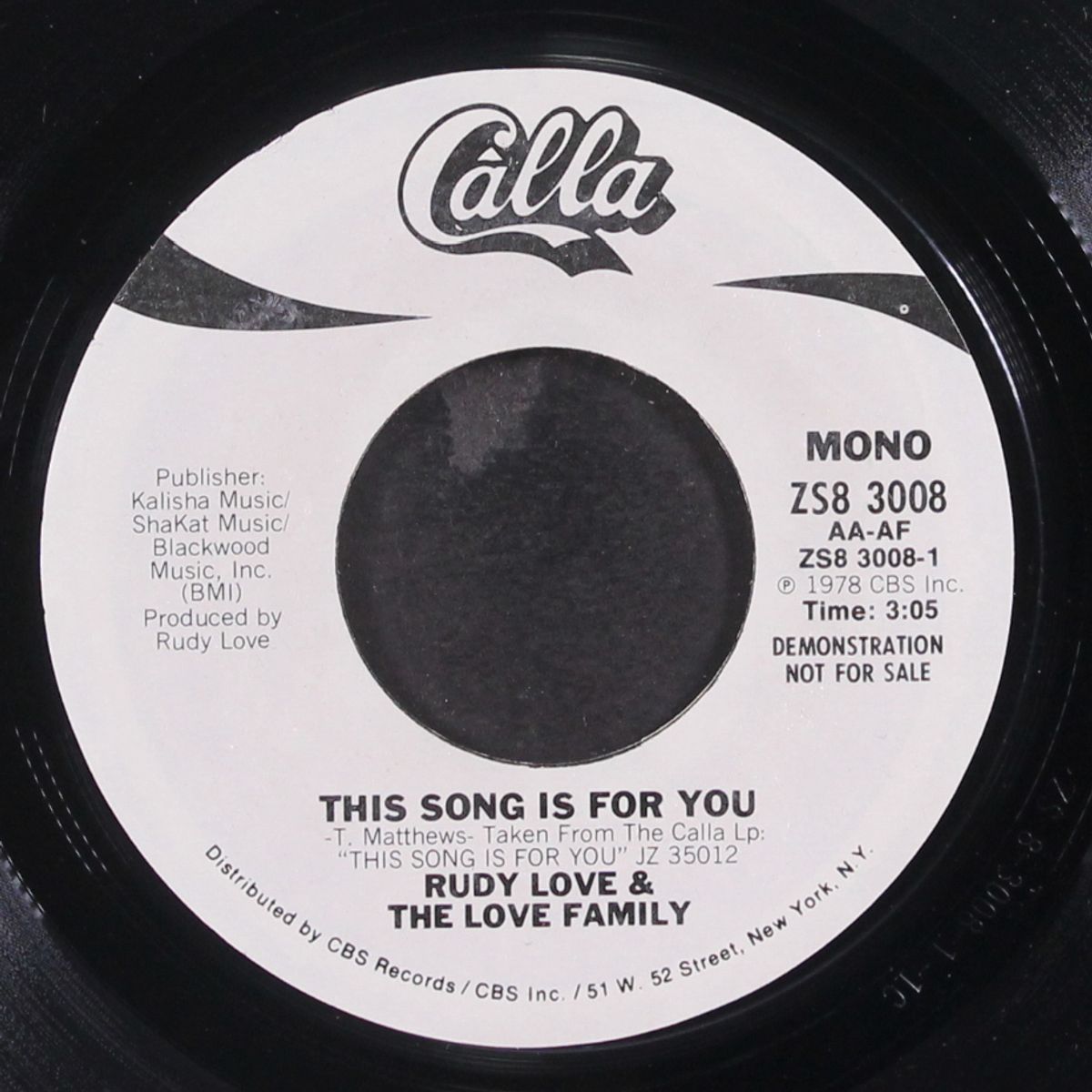 this song is for you / mono by RUDY LOVE & LOVE FAMILY
