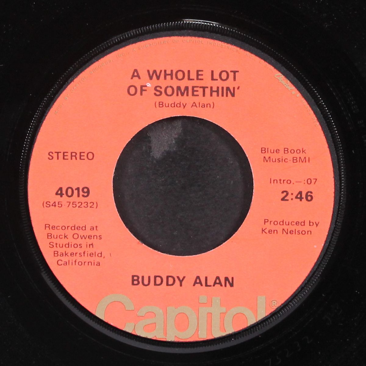 a whole lot of somethin' by BUDDY ALAN