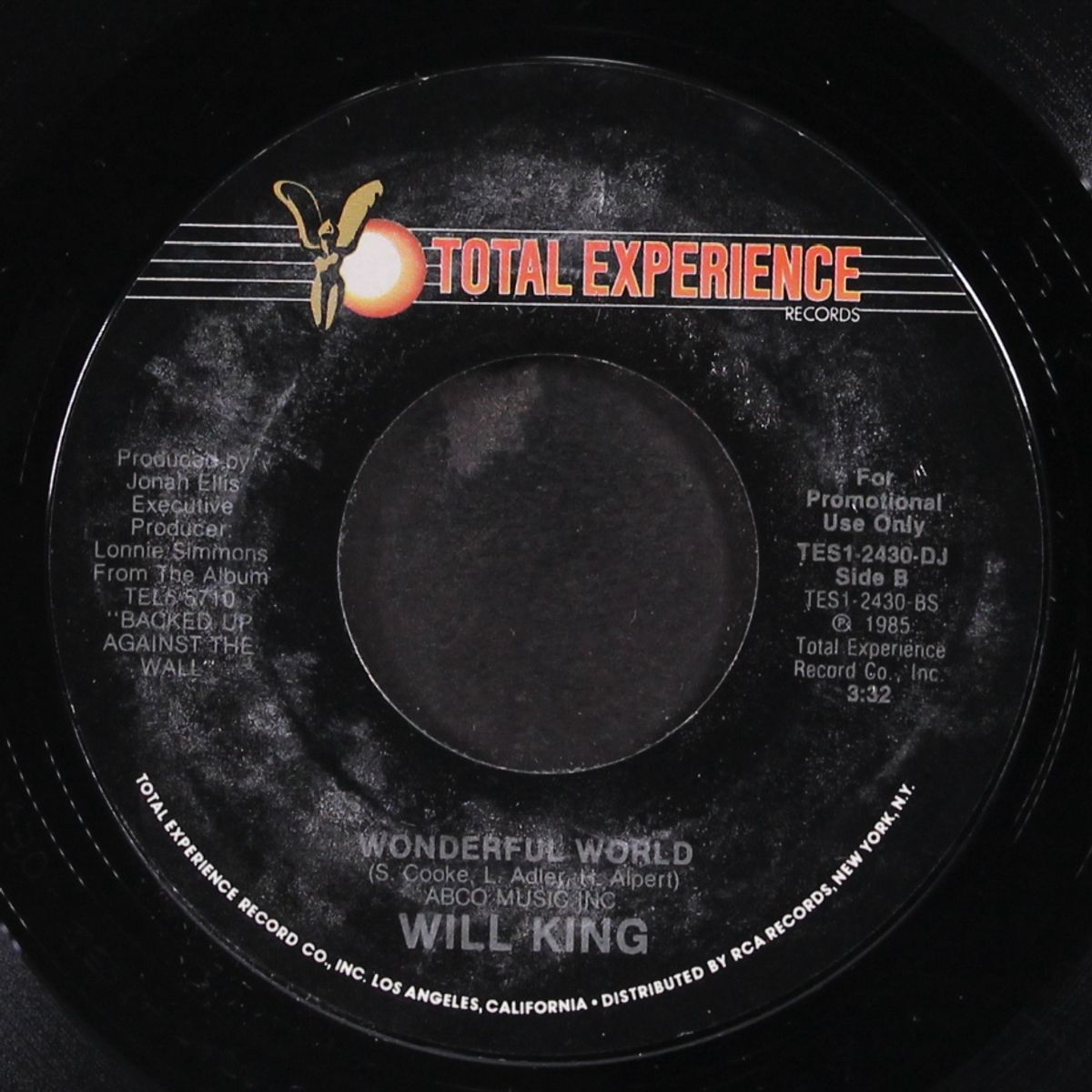 backed up against the wall / wonderful world by WILL KING