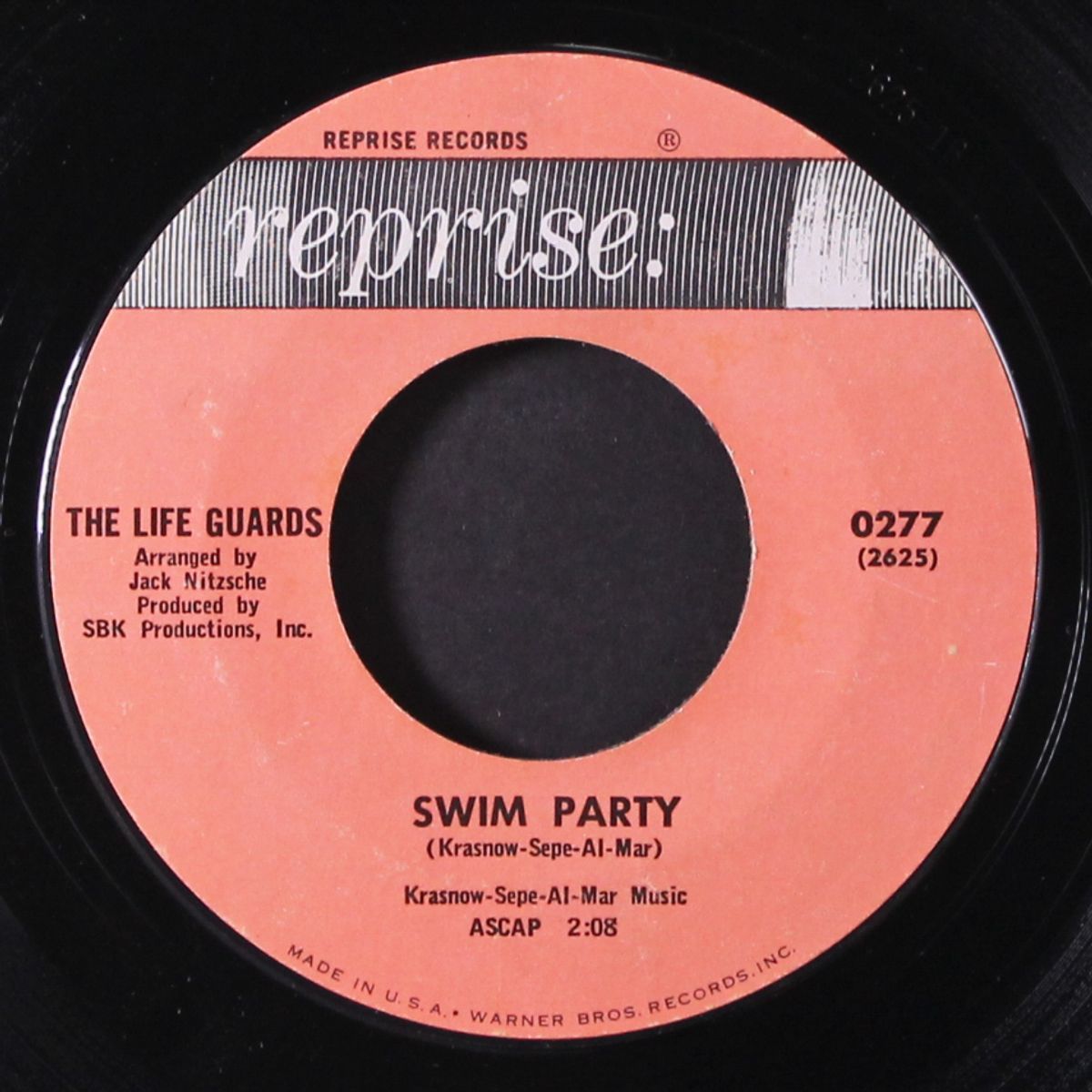 swim party / swimtime usa by LIFE GUARDS
