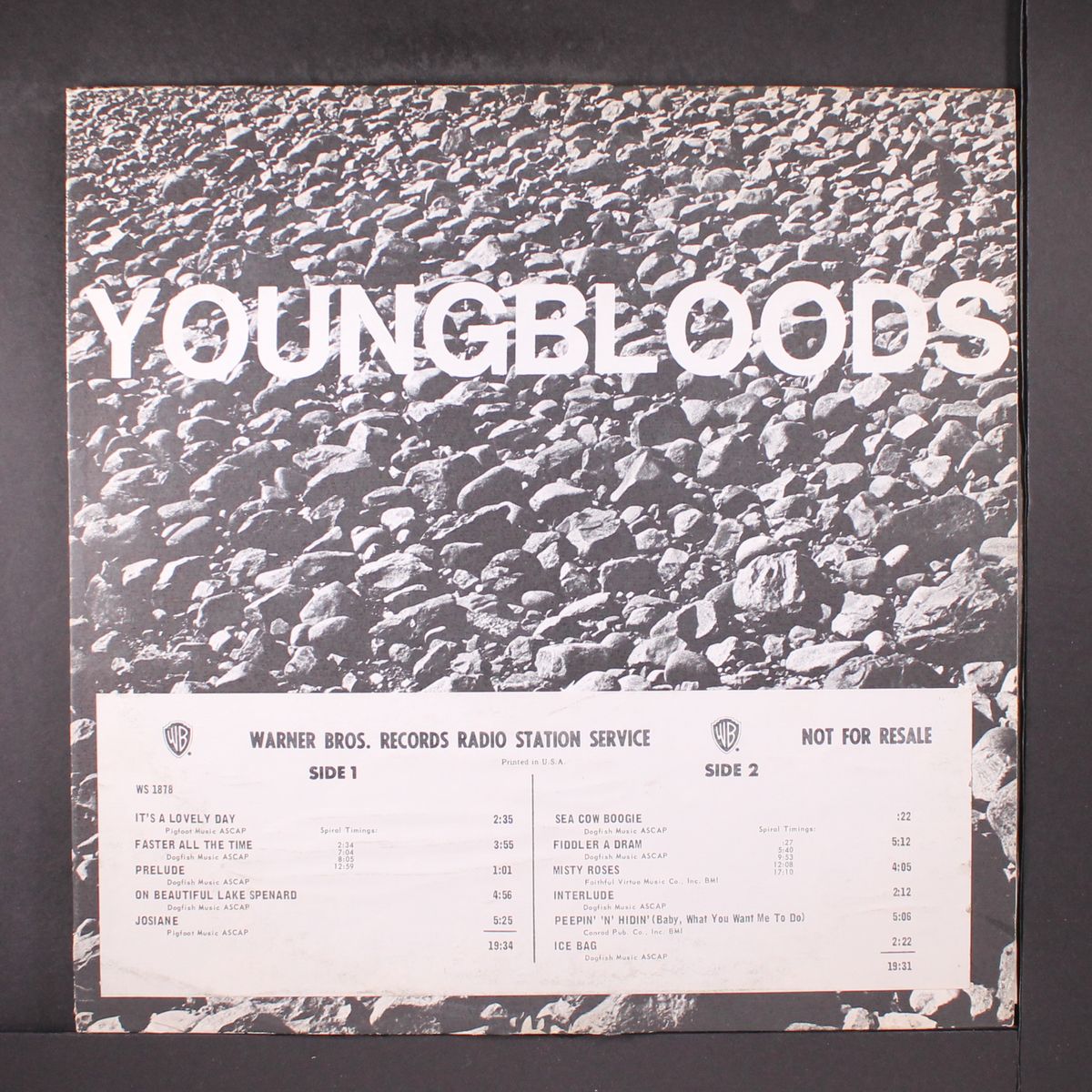 rock festival by YOUNGBLOODS