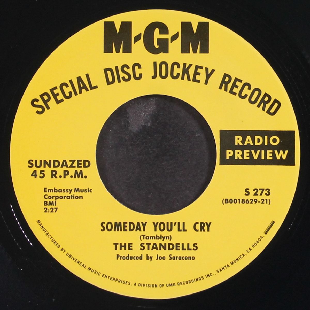 zebra in the kitchen / someday you'll cry by STANDELLS