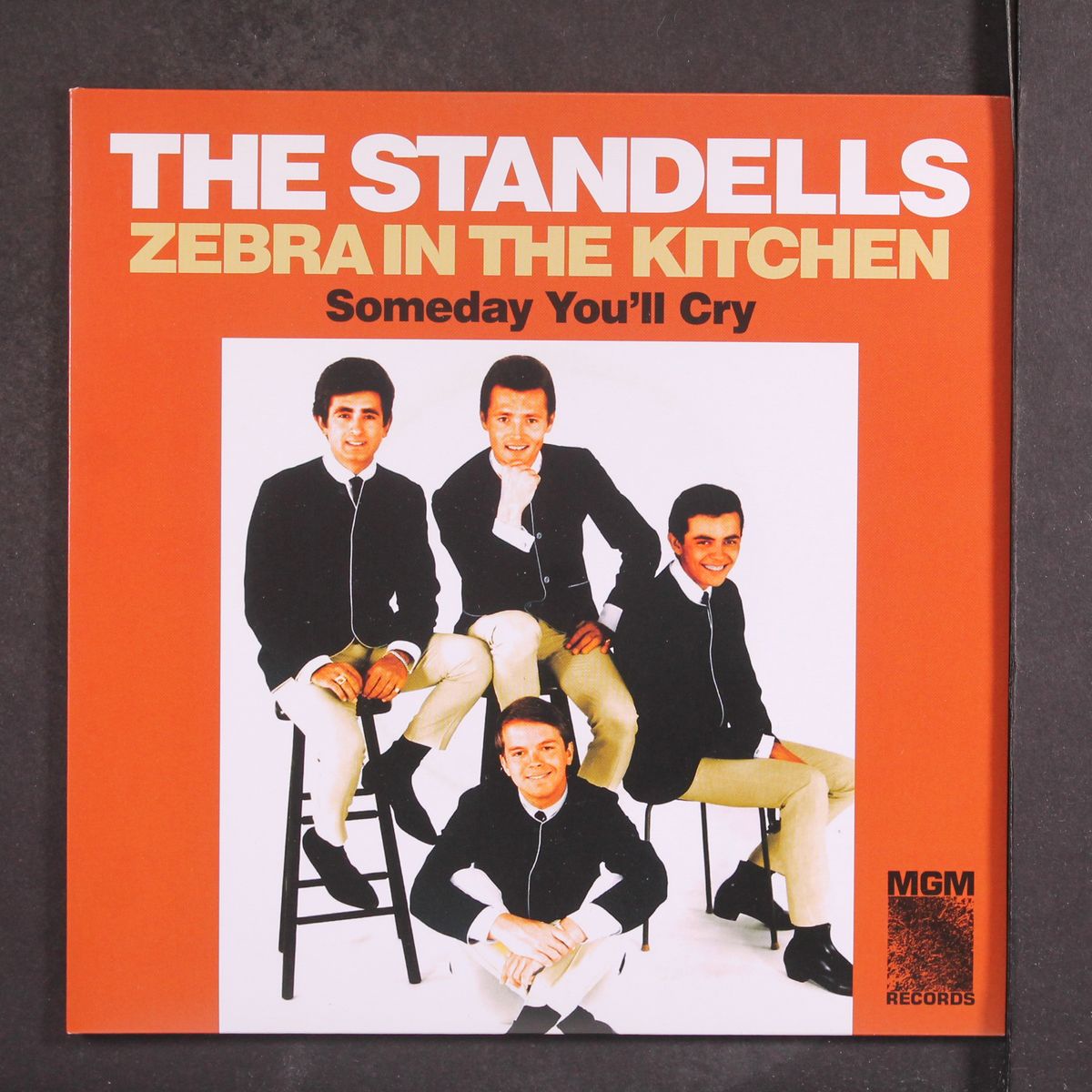 zebra in the kitchen / someday you'll cry by STANDELLS
