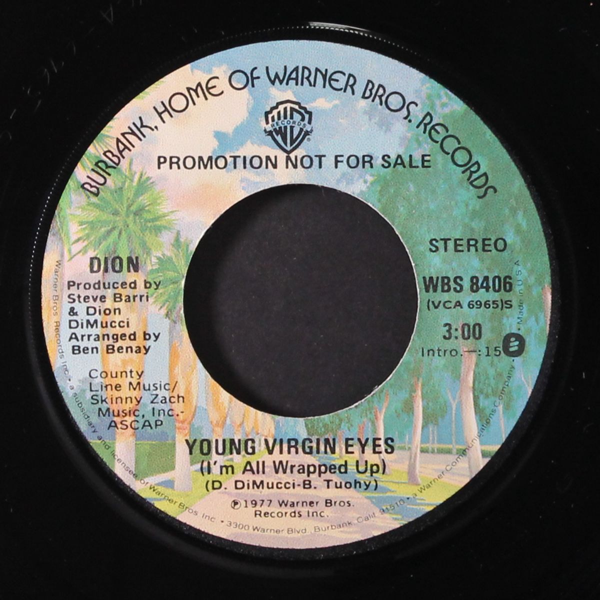 young virgin eyes / mono by DION