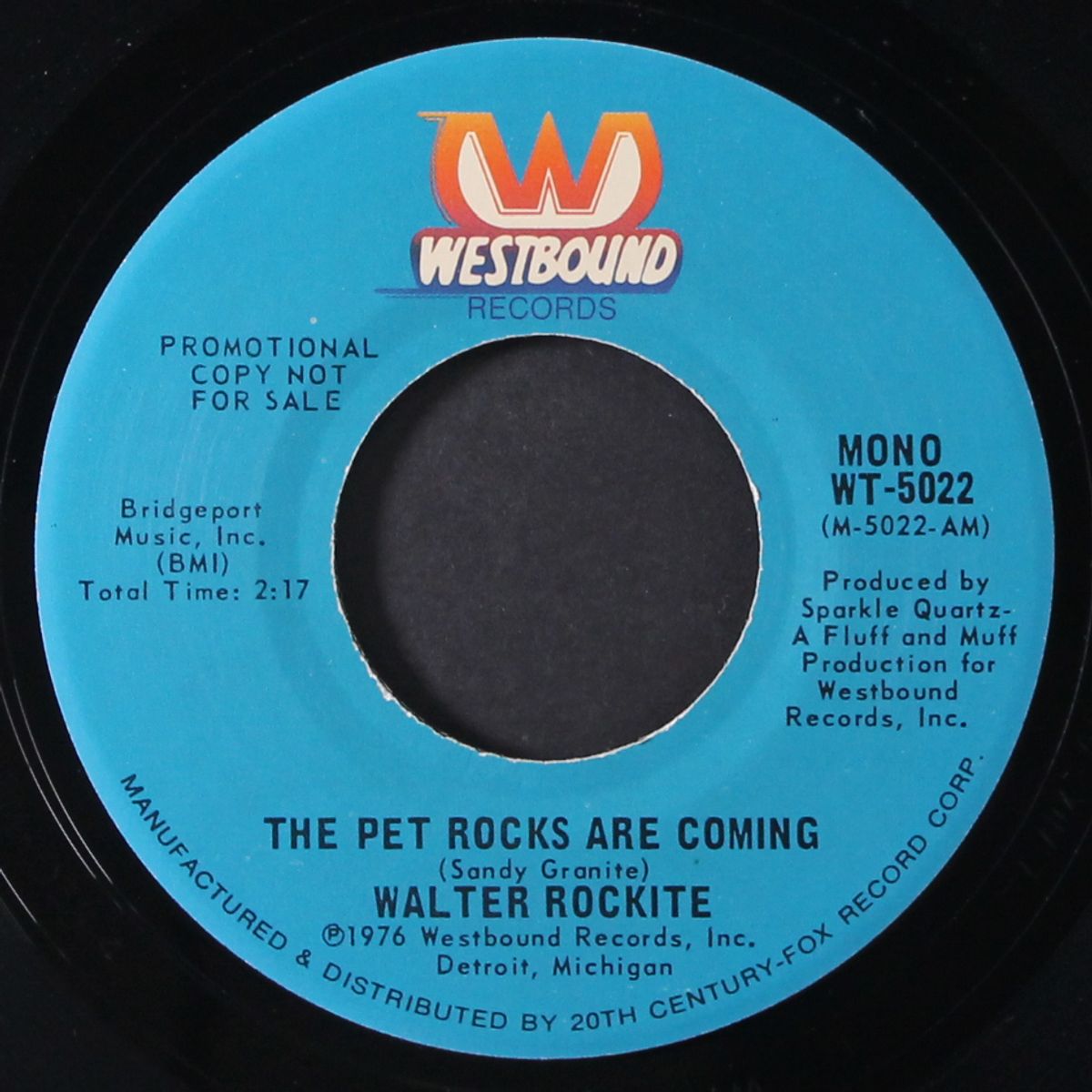 the pet rocks are coming / mono by WALTER ROCKITE