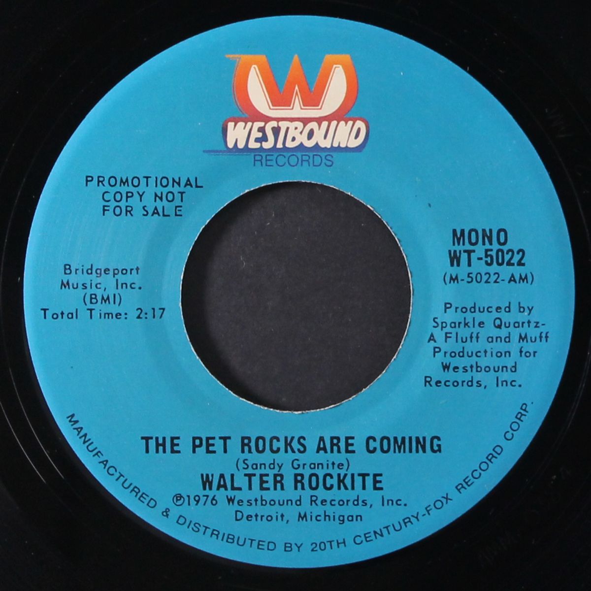 the pet rocks are coming / mono by WALTER ROCKITE