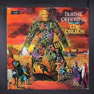 DRUIDS
